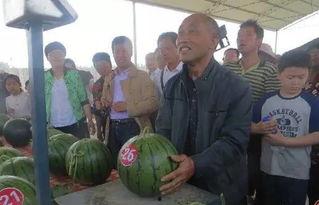 千佛山娱乐团队吃瓜群众,吃瓜群众揭秘幕后故事